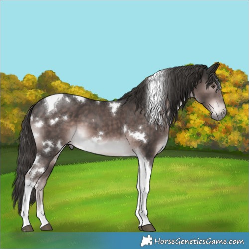 Horse Color:Platinum White Spotted Liver Chestnut Tobiano
