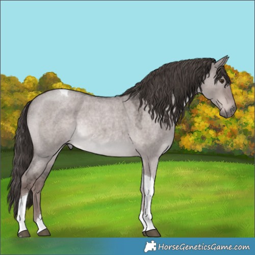 Horse Color:Platinum Liver Red Dun Roan Tobiano Rabicano