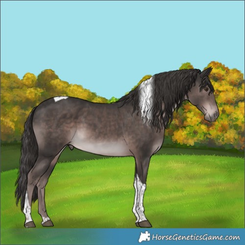 Horse Color:Platinum Liver Chestnut Tobiano