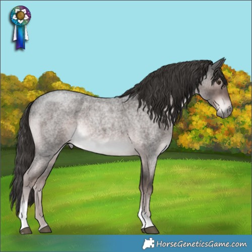 Horse Color:Platinum Liver Red Roan Tobiano Rabicano 