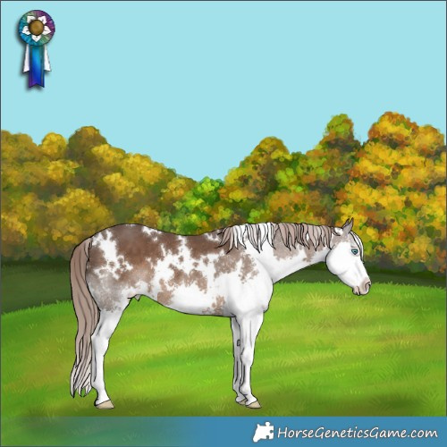 Horse Color:Platinum White Spotted Liver Chestnut Splash