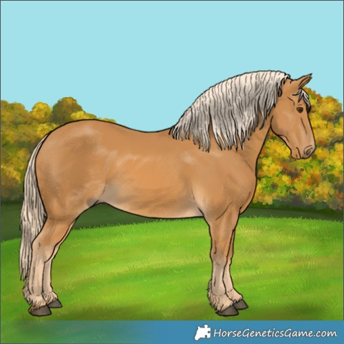 Horse Color:Palomino 