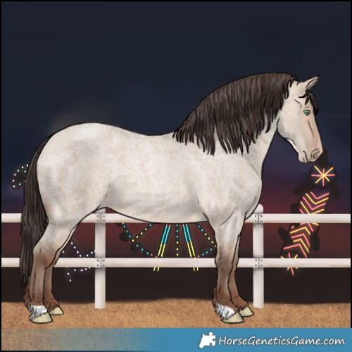 Horse Color:Sable Champagne Roan Dun