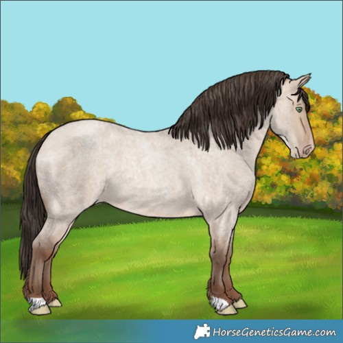 Horse Color:Sable Champagne Roan Dun