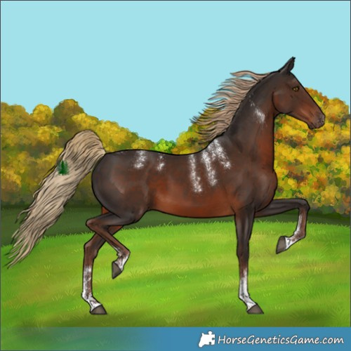 Horse Color:Powder White Liver Chestnut 