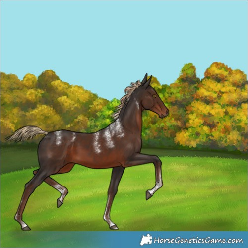 Horse Color:Powder White Liver Chestnut 