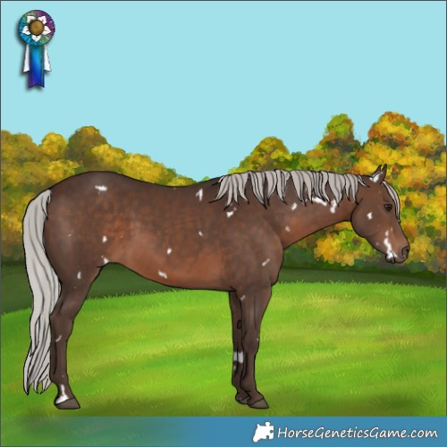 Horse Color:White Spotted Silver Brown 