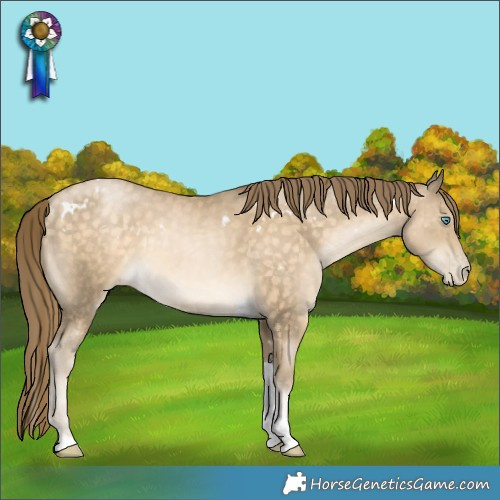 Horse Color:White Spotted Buckskin Pearl Tobiano Rabicano