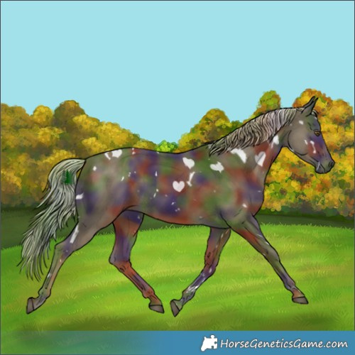 Horse Color:Nacre White Spotted Chocolate Palomino 