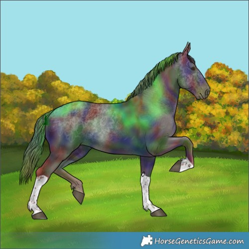 Horse Color:Nacre White Spotted Liver Chestnut Tobiano