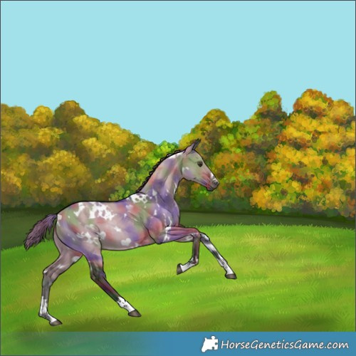 Horse Color:Nacre White Spotted Liver Red Dun Rabicano 