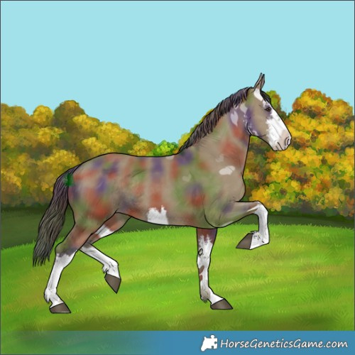 Horse Color:Nacre White Spotted Liver Red Dun Rabicano
