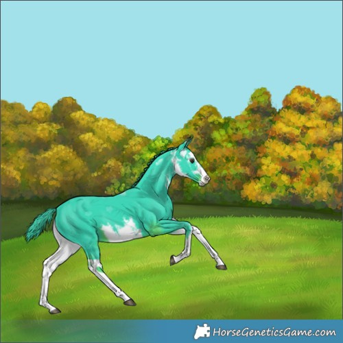 Horse Color:Watercolor White Spotted Liver Chestnut 