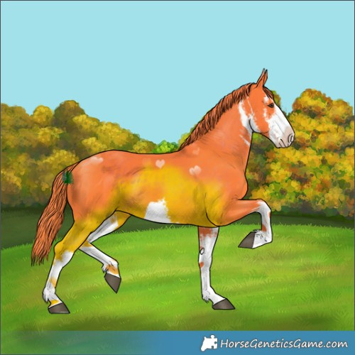 Horse Color:Watercolor White Spotted Liver Chestnut 