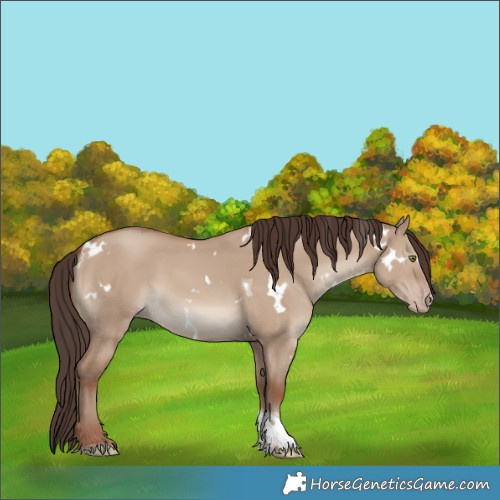 Horse Color:White Spotted Classic Champagne Dun Tobiano 