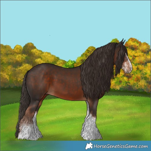 Horse Color:White Spotted Liver Chestnut Tobiano