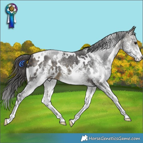 Horse Color:White Spotted Buckskin