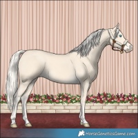 Horse Color:Cremello
