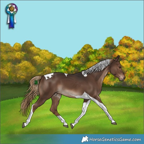 Horse Color:Liver Chestnut Tobiano 