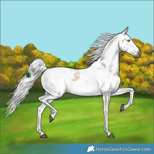 Horse Color:Silver Buckskin Harlequin Merle Tobiano