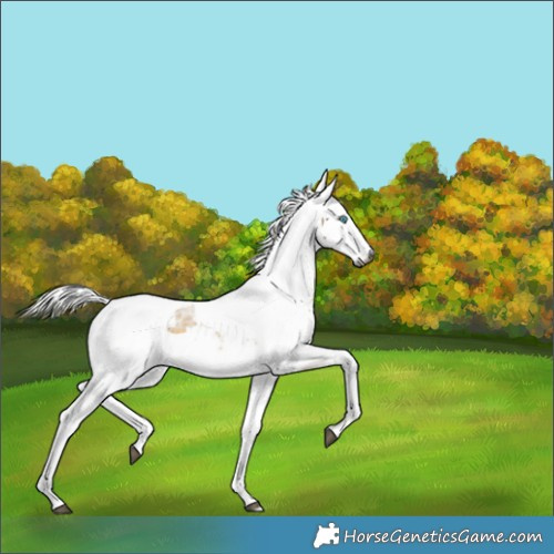 Horse Color:Silver Buckskin Harlequin Merle Tobiano 