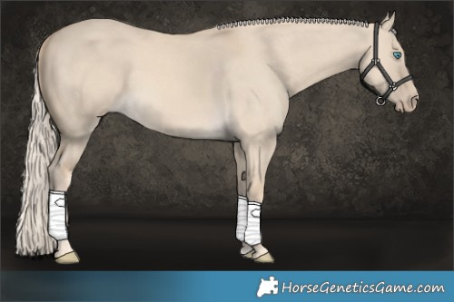 Horse Color:Cremello Dun