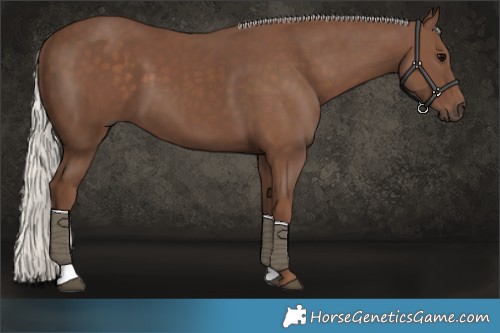 Horse Color:Silver Black 