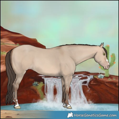 Horse Color:Amber Champagne Dun 