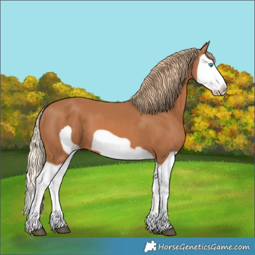 Horse Color:Chestnut Splash Frame 