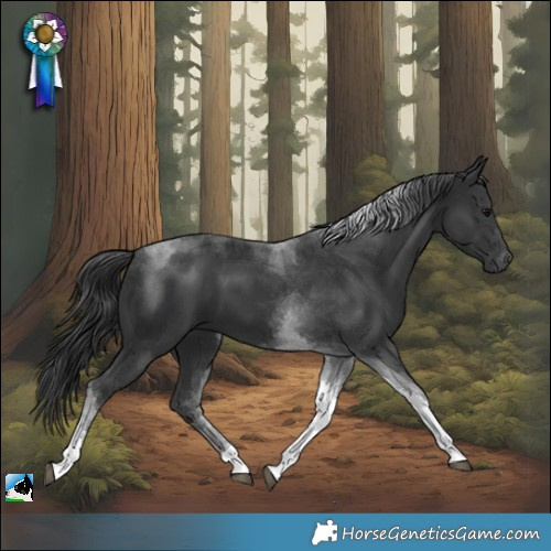 Horse Color:Platinum Black Tobiano
