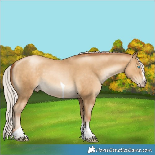 Horse Color:Gray Silver Sable Cream Champagne Pearl Splash Tobiano