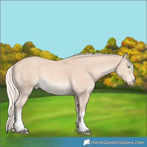 Horse Color:Cremello Tobiano 