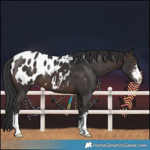 Horse Color:Brown Blanket 