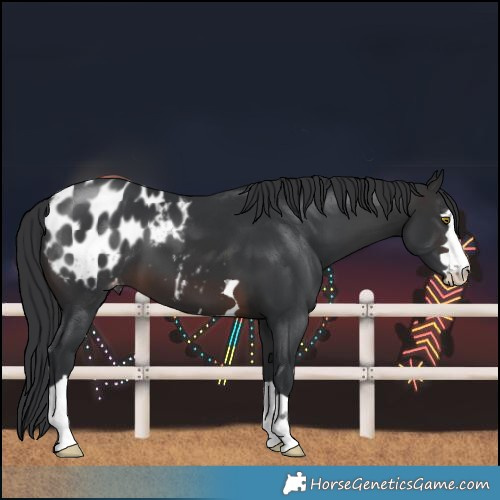 Horse Color:Brown Blanket 