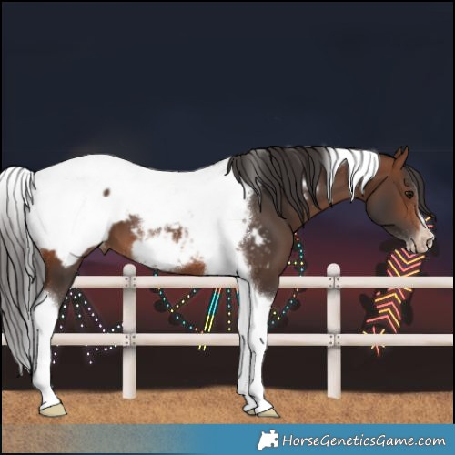 Horse Color:Brown Tobiano Frame Near Fewspot