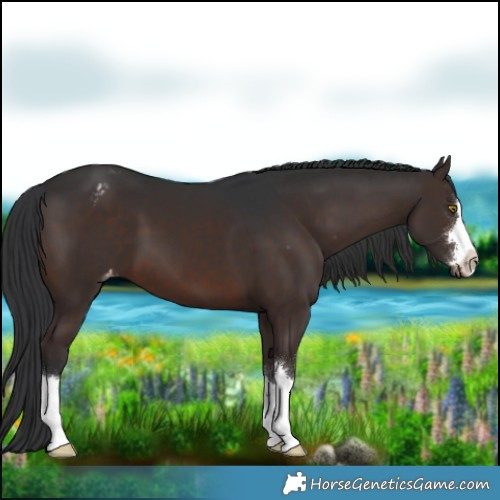 Horse Color:Brown Varnish 