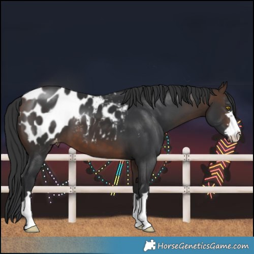 Horse Color:Bay Blanket 