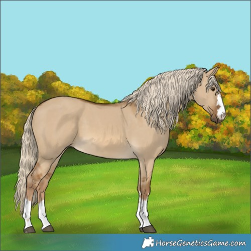 Horse Color:Chocolate Palomino Dun 