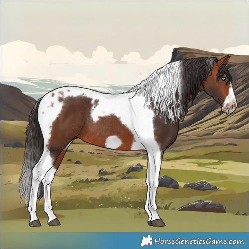 Horse Color:Bay Splash Tobiano Frame Rabicano 