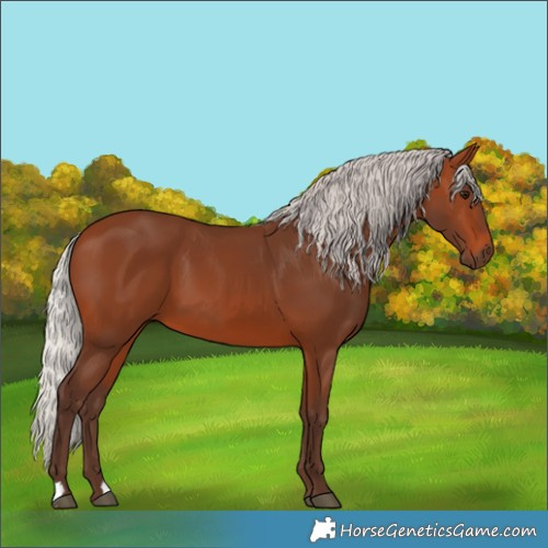 Horse Color:Silver Brown 