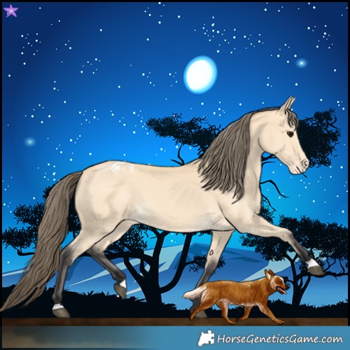 Horse Color:Buckskin Varnish