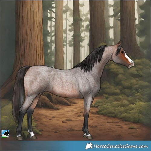 Horse Color:Bay Roan Splash Frame Rabicano 