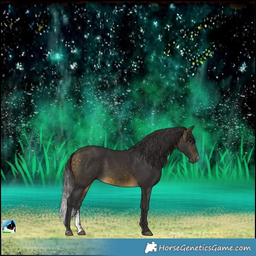 Horse Color:Buckskin Sabino 