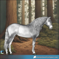 Horse Color:Silver Brown Chinchilla Onyx Rabicano 