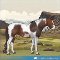 Horse Color:Bay Splash Tobiano Frame Rabicano 