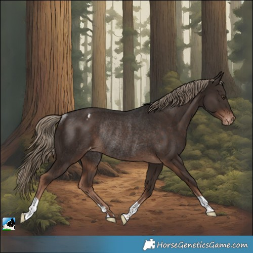 Horse Color:Liver Chestnut Varnish Rabicano 