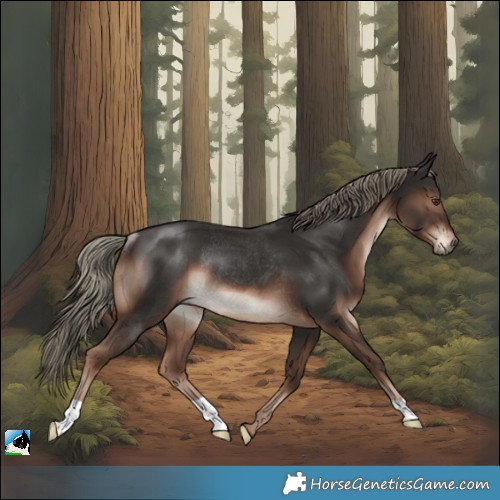 Horse Color:Liver Chestnut Mushroom Rabicano 