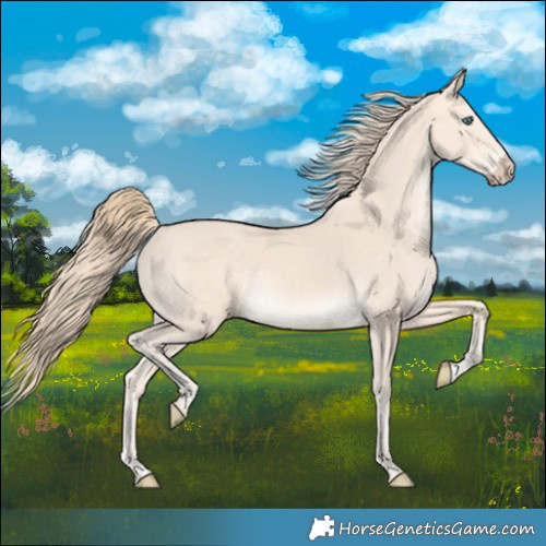 Horse Color:Perlino  and Perlino 