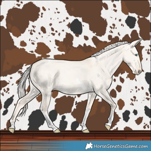 Horse Color:Cremello Dun Tobiano