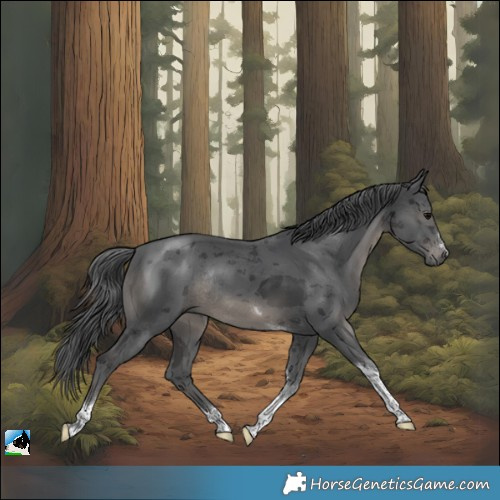 Horse Color:Black Merle Tobiano Rabicano 